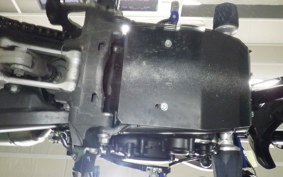 YAMAHA WR250X 2004 DG15J