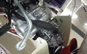 HONDA C50 SUPER CUB 2008 AA09
