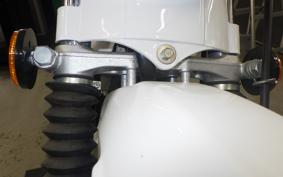 SUZUKI TS185 2015