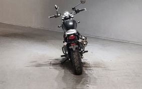 TRIUMPH SCRAMBLER 2025 D5BG23