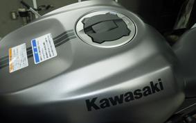 KAWASAKI ZX-4R SE 2025 ZX400P