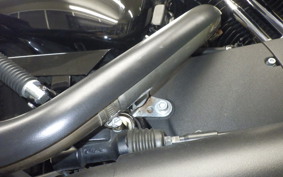 HARLEY XL1200NS 2019