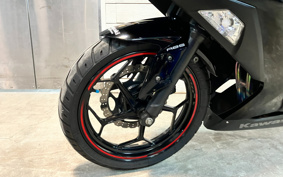KAWASAKI NINJA 250 EX250L