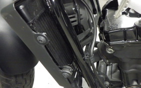 HONDA REBEL 250 2017 MC49