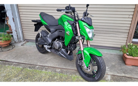 KAWASAKI Z125 PRO BR125H