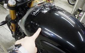 TRIUMPH SCRAMBLER 400X 2024