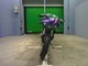 Фото Buell XB12R FIREBOLT 2006 с японского аукциона