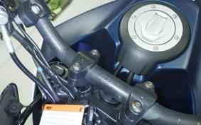 KTM 250 ADVENTURE