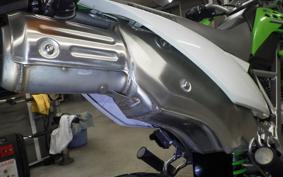 KAWASAKI KLX125 2025 LX125C