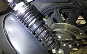 HARLEY XL1200NS 2020