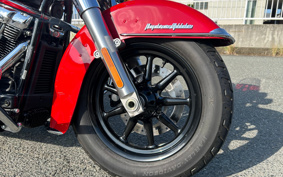 HARLEY FLI HYDRA-GLIDE 2024 BCK