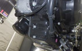 DUCATI SCRAMBLER 2024