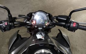 KAWASAKI Z900 2019 ZR900B