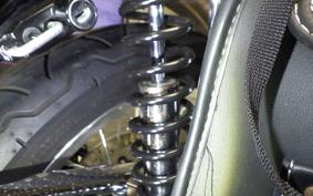 KAWASAKI W800 2020 EJ800B