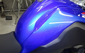 BMW F800GS 2024