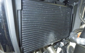 HONDA NX400 2024 NC65
