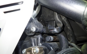 HONDA CBR400R 2020 NC56
