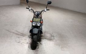 HONDA ZUMAR AF58