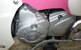 HONDA C110 SUPER CUB JA44