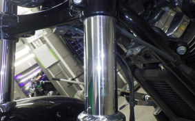 HARLEY FXBR1920 2024