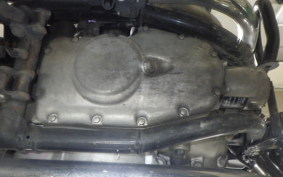 KAWASAKI W800 2022 EJ800E