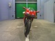 Фото Ducati 996R 2001 с японского аукциона