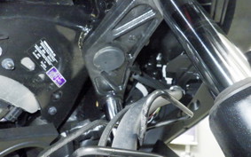 YAMAHA X-MAX 250 SGA8J