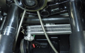 HONDA VTR1000F 2020 SC36
