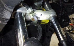 SUZUKI DL650 ( V-Strom 650 ) XTA 2024 C733M