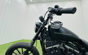 HARLEY XL883N 2010 LE2