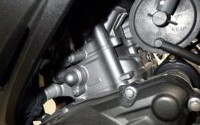 HONDA CBR250RR A 2023 MC51