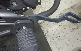 HONDA REBEL 250 A 2024 MC49