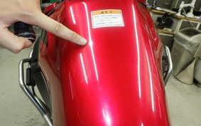 SUZUKI V-STROM 250 1993