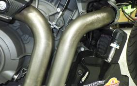 INDIAN FTR1200R carbon 2025