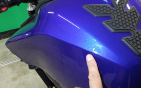YAMAHA MT-09 2024 RN87J