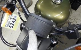 HARLEY XL883N 2017