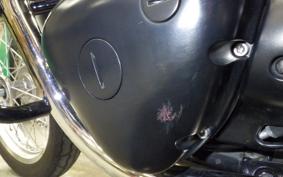KAWASAKI W800 STREET 2020 EJ800B