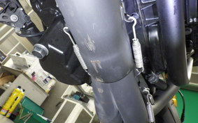KAWASAKI ZRX1200 D 2021 ZRT20D