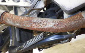 KAWASAKI ZZ-R250 EX250H