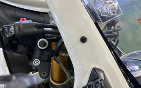 TRIUMPH DAYTONA 675 R 2011 TMD116