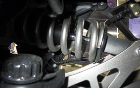 KAWASAKI NINJA 1000SX 2024 ZXT02K