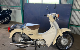 HONDA SUPER CUB110 JA07