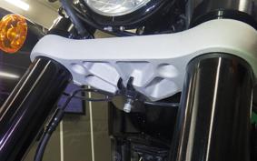 HARLEY XR1200 2010