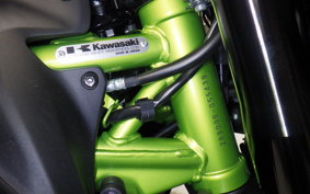 KAWASAKI Z900 2021 ZR900B