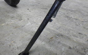 HONDA MONKEY 2024 Z50J