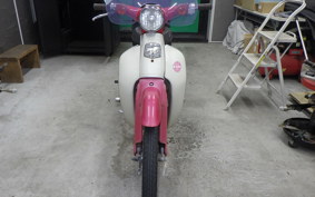 HONDA LITTLE CUB 2020 AA01