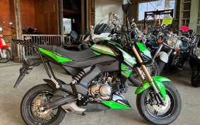 KAWASAKI Z125 PRO KRT BR125HGFA