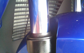 SUZUKI  SKY WAVE 250TYPES CJ43A