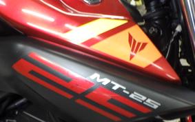 YAMAHA MT-25 2013 RG10J
