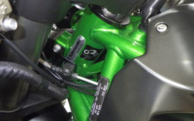 KAWASAKI NINJA H2 CARBON 2021 ZXT02J
